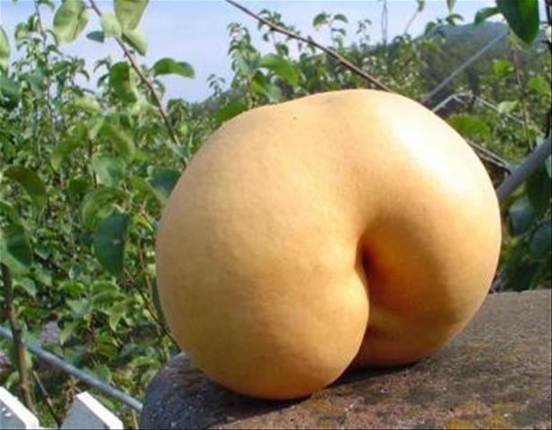 Una fruta con nalgas