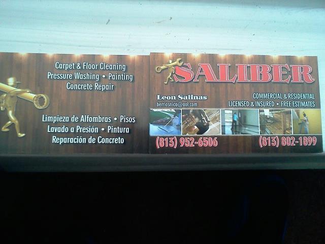 Saliber Servicios